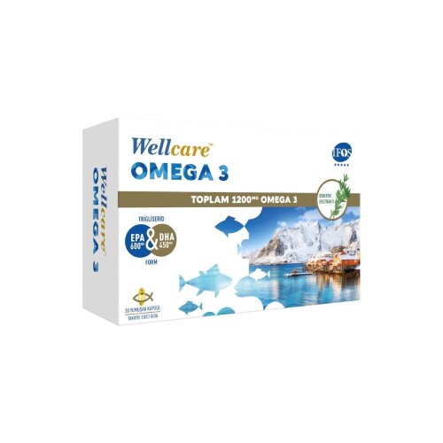 Wellcare Omega3 Biberiye Ekstraktlı Balık Yağı 30 Yumuşak Kapsül - Wellcare